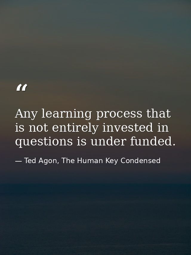 Any learning process that is not entirely invested in questions is under funded. — Ted Agon, The Human Key Condensed