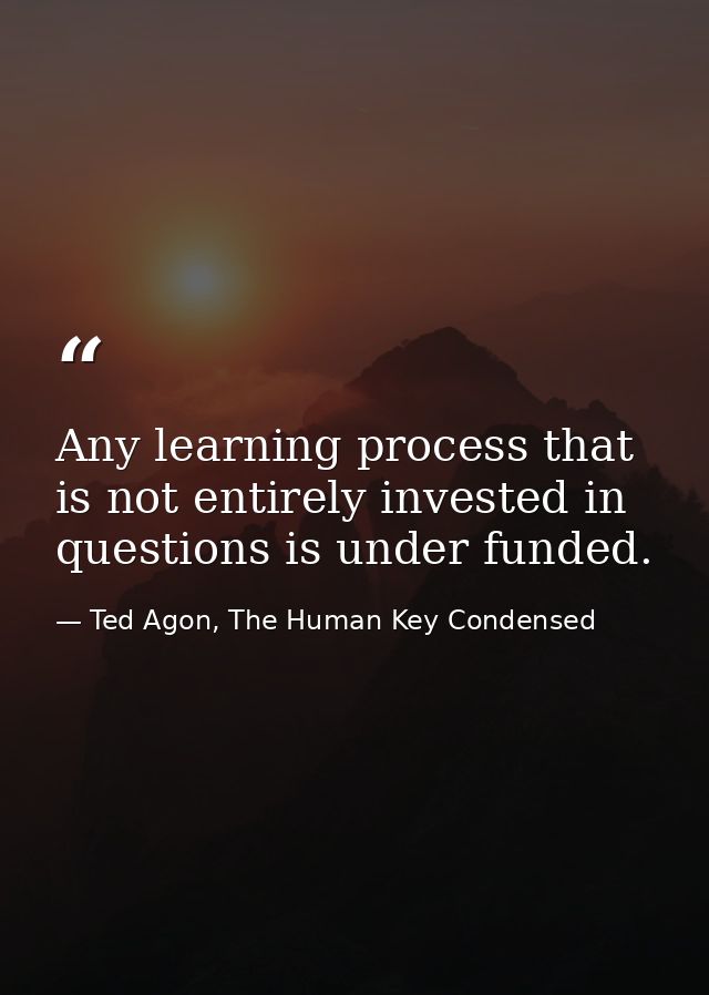 Any learning process that is not entirely invested in questions is under funded. — Ted Agon, The Human Key Condensed