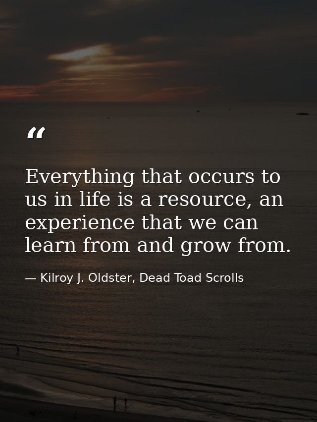 Everything that occurs to us in life is a resource, an experience that we can learn from and grow from. — Kilroy J. Oldster, Dead Toad Scrolls