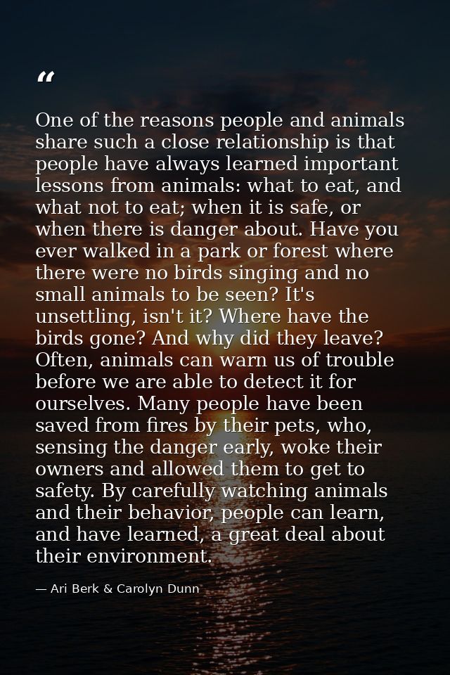 One of the reasons people and animals share such a close relationship is that people have always learned important lesso — Ari Berk & Carolyn Dunn