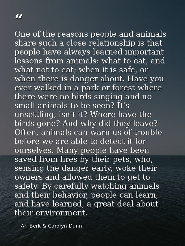 One of the reasons people and animals share such a close relationship is that people have always learned important lesso — Ari Berk & Carolyn Dunn