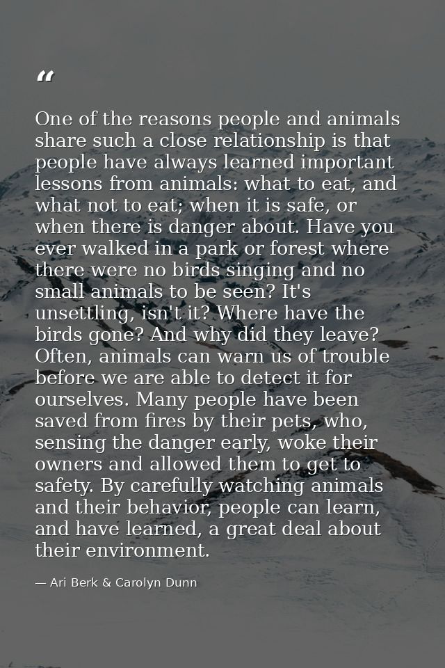 One of the reasons people and animals share such a close relationship is that people have always learned important lesso — Ari Berk & Carolyn Dunn