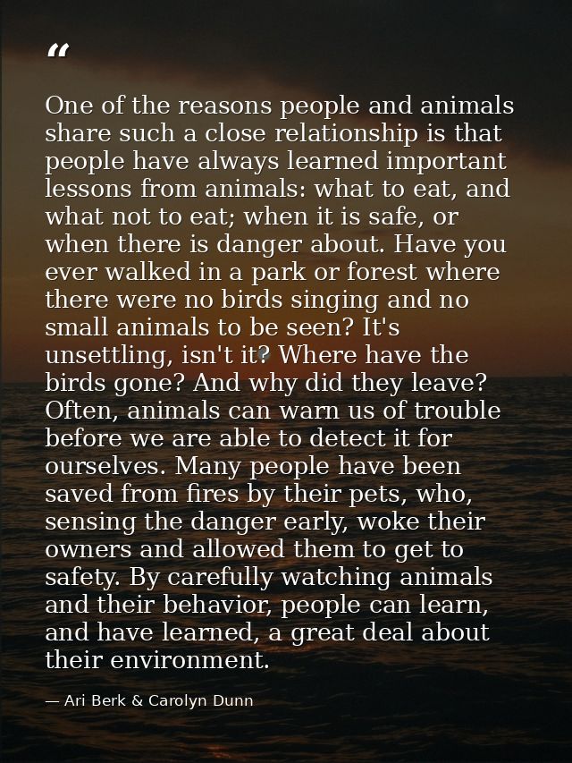 One of the reasons people and animals share such a close relationship is that people have always learned important lesso — Ari Berk & Carolyn Dunn
