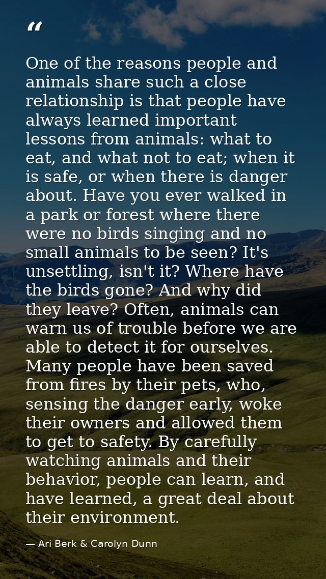 One of the reasons people and animals share such a close relationship is that people have always learned important lesso — Ari Berk & Carolyn Dunn