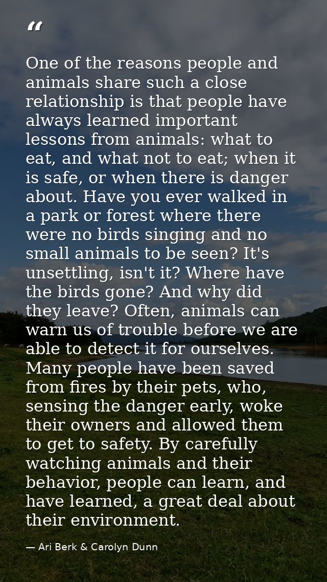One of the reasons people and animals share such a close relationship is that people have always learned important lesso — Ari Berk & Carolyn Dunn