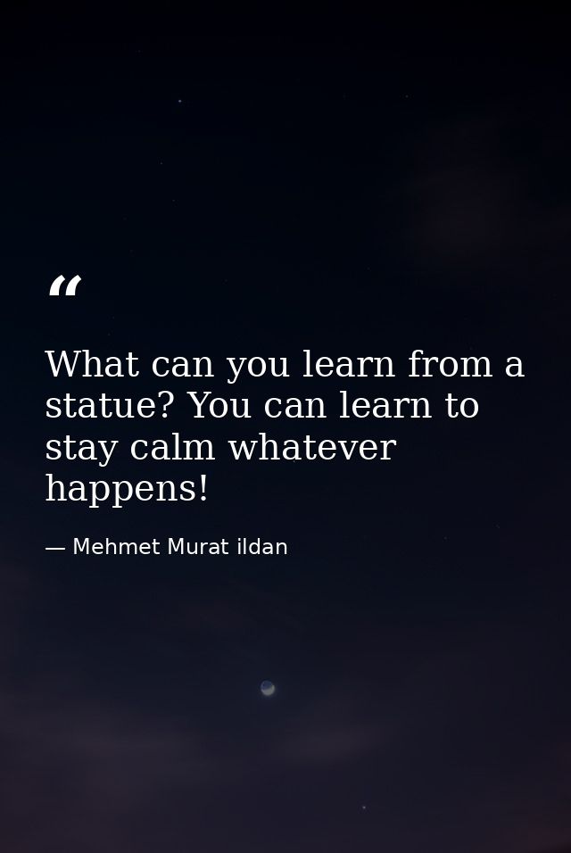 What can you learn from a statue? You can learn to stay calm whatever happens! — Mehmet Murat ildan