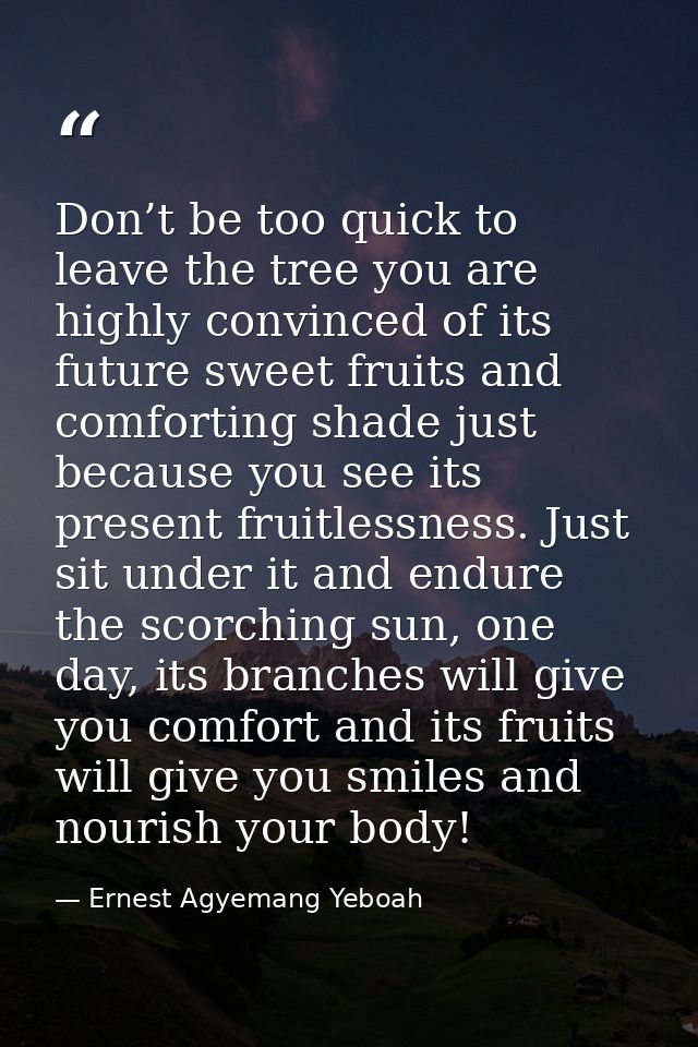 Don’t be too quick to leave the tree you are highly convinced of its future sweet fruits and comforting shade just becau — Ernest Agyemang Yeboah