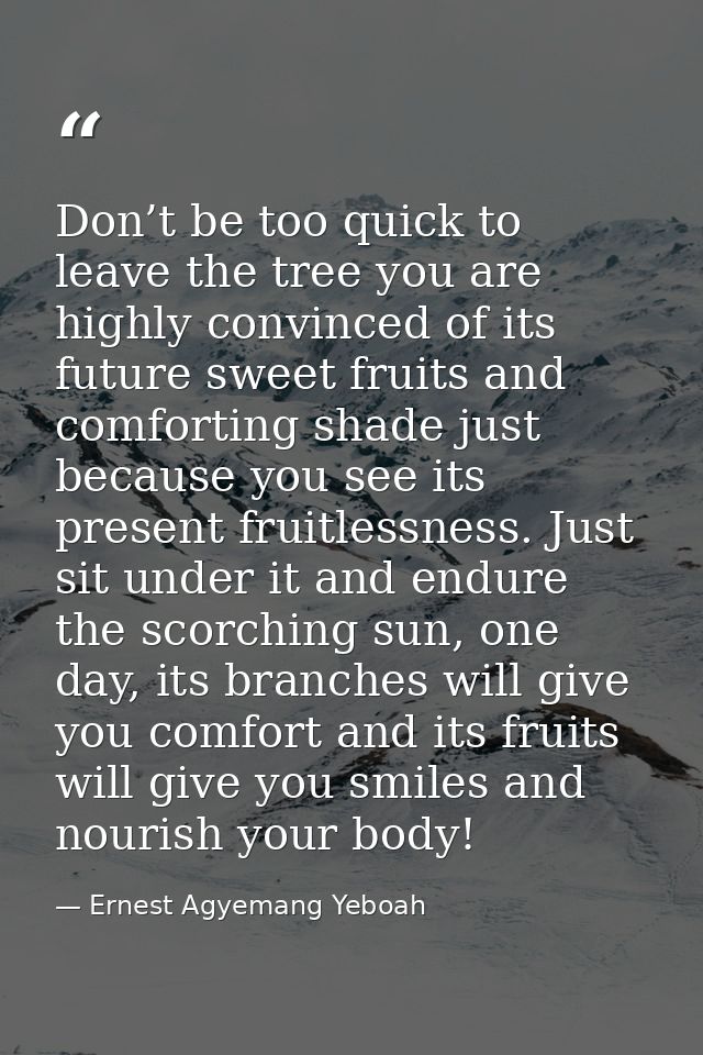 Don’t be too quick to leave the tree you are highly convinced of its future sweet fruits and comforting shade just becau — Ernest Agyemang Yeboah