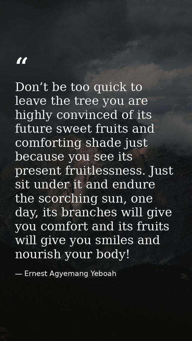 Don’t be too quick to leave the tree you are highly convinced of its future sweet fruits and comforting shade just becau — Ernest Agyemang Yeboah
