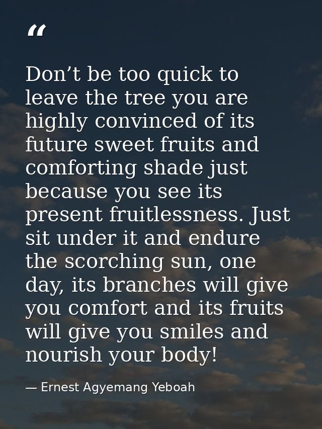 Don’t be too quick to leave the tree you are highly convinced of its future sweet fruits and comforting shade just becau — Ernest Agyemang Yeboah