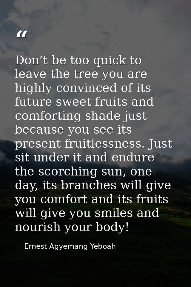 Don’t be too quick to leave the tree you are highly convinced of its future sweet fruits and comforting shade just becau — Ernest Agyemang Yeboah