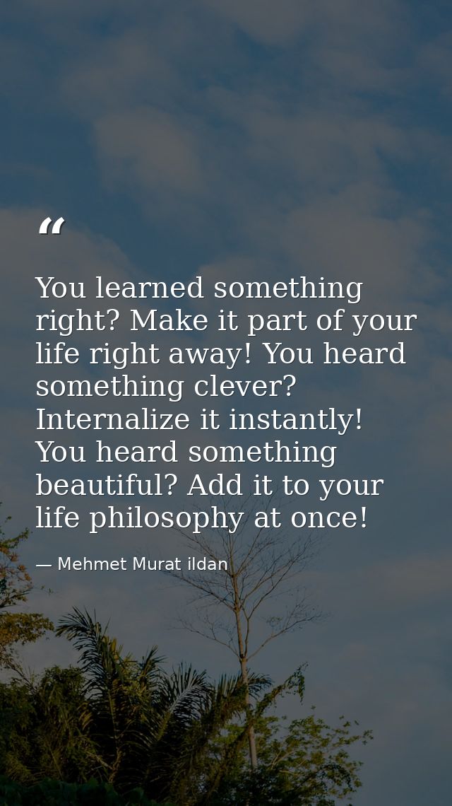 You learned something right? Make it part of your life right away! You heard something clever? Internalize it instantly! — Mehmet Murat ildan