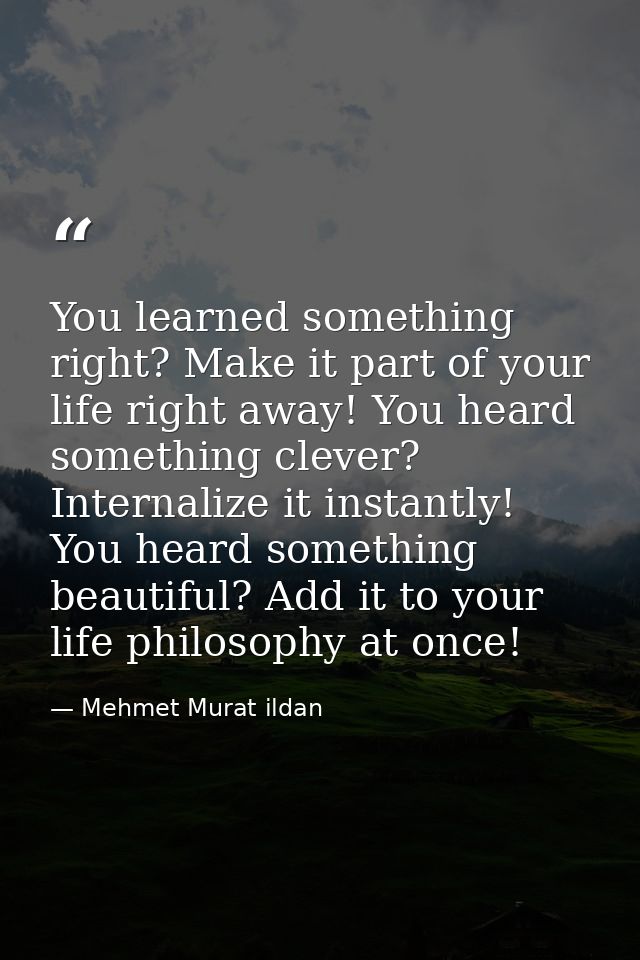 You learned something right? Make it part of your life right away! You heard something clever? Internalize it instantly! — Mehmet Murat ildan