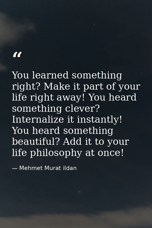 You learned something right? Make it part of your life right away! You heard something clever? Internalize it instantly! — Mehmet Murat ildan