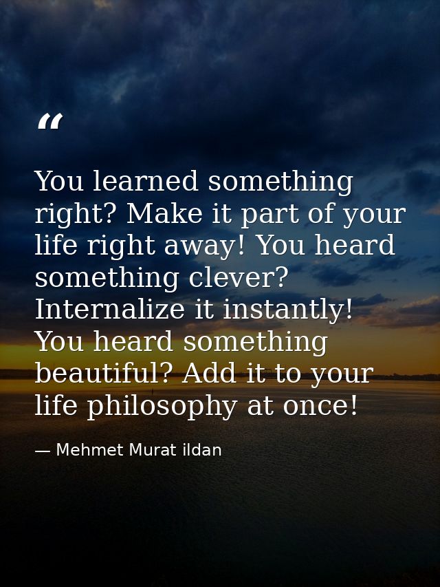 You learned something right? Make it part of your life right away! You heard something clever? Internalize it instantly! — Mehmet Murat ildan