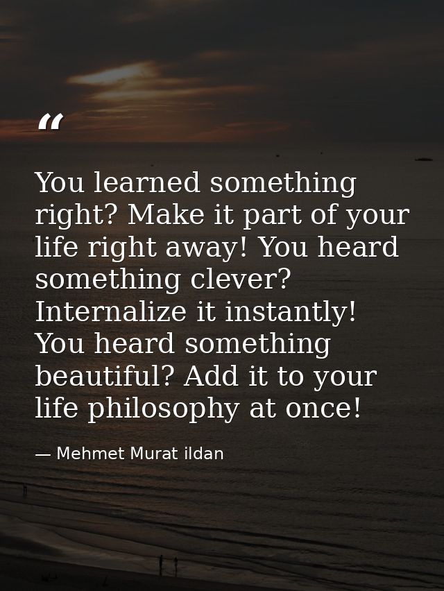 You learned something right? Make it part of your life right away! You heard something clever? Internalize it instantly! — Mehmet Murat ildan