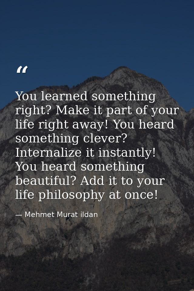 You learned something right? Make it part of your life right away! You heard something clever? Internalize it instantly! — Mehmet Murat ildan
