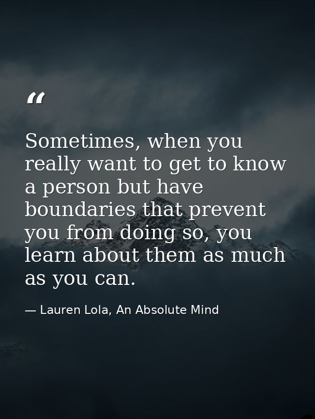 Sometimes, when you really want to get to know a person but have boundaries that prevent you from doing so, you learn ab — Lauren Lola, An Absolute Mind