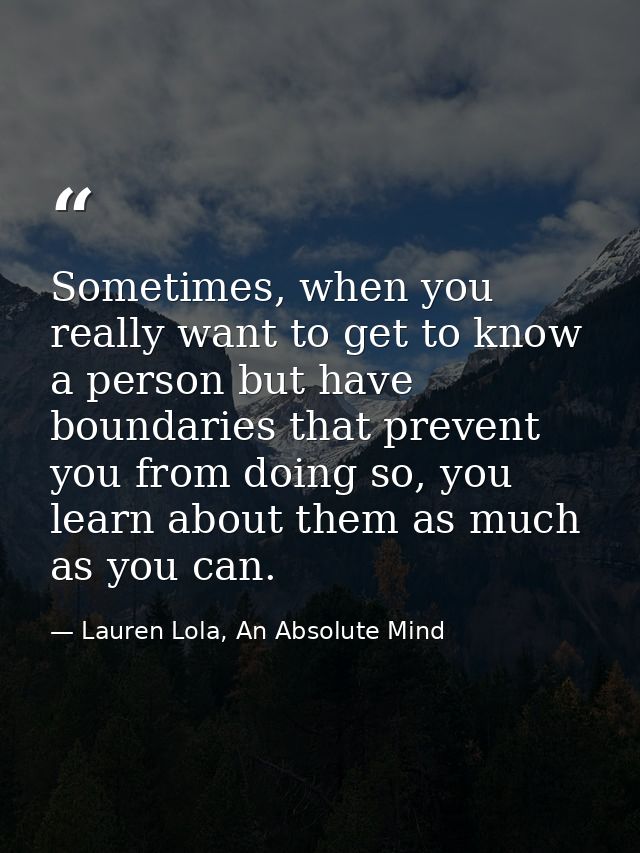 Sometimes, when you really want to get to know a person but have boundaries that prevent you from doing so, you learn ab — Lauren Lola, An Absolute Mind