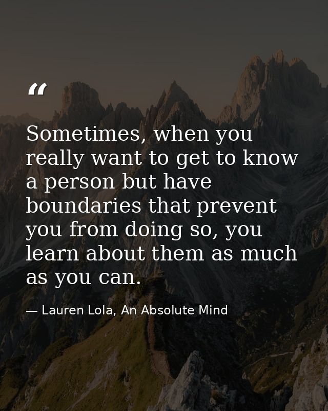 Sometimes, when you really want to get to know a person but have boundaries that prevent you from doing so, you learn ab — Lauren Lola, An Absolute Mind