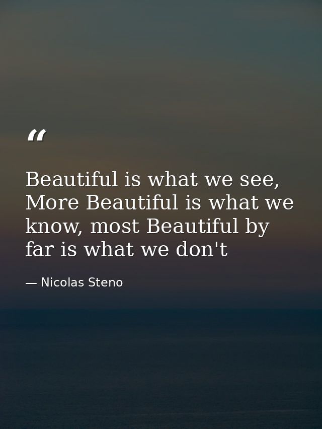 Beautiful is what we see, More Beautiful is what we know, most Beautiful by far is what we don't — Nicolas Steno
