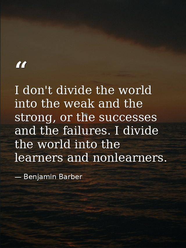 I don't divide the world into the weak and the strong, or the successes and the failures. I divide the world into the le — Benjamin Barber