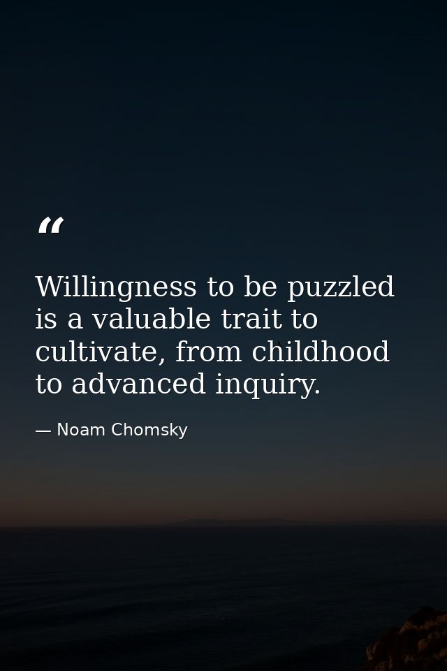Willingness to be puzzled is a valuable trait to cultivate, from childhood to advanced inquiry. — Noam Chomsky
