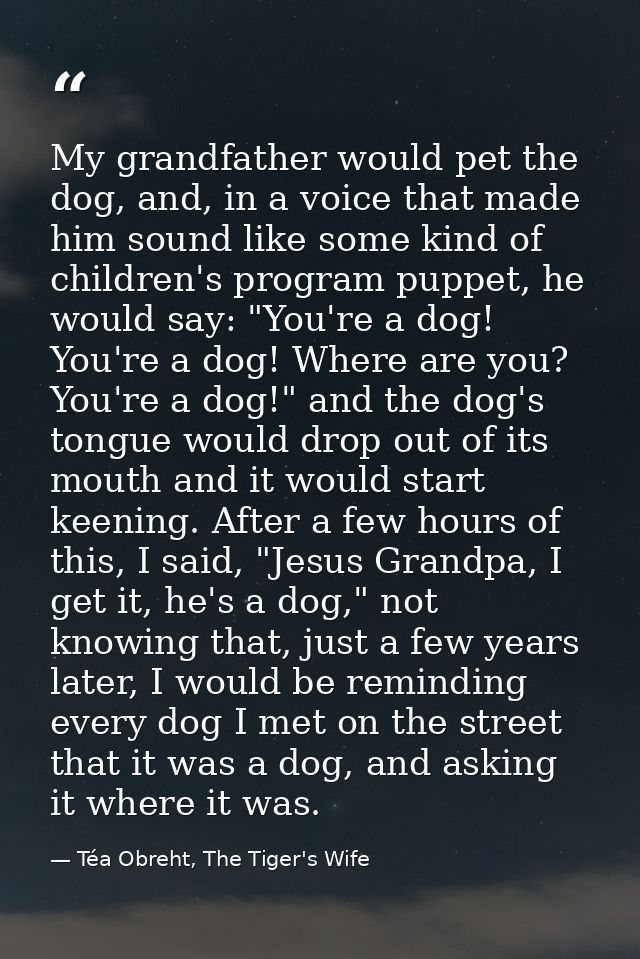 My grandfather would pet the dog, and, in a voice that made him sound like some kind of children's program puppet, he wo — Téa Obreht, The Tiger's Wife