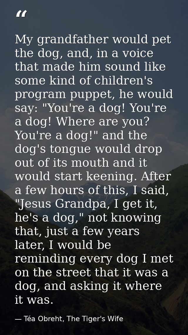 My grandfather would pet the dog, and, in a voice that made him sound like some kind of children's program puppet, he wo — Téa Obreht, The Tiger's Wife