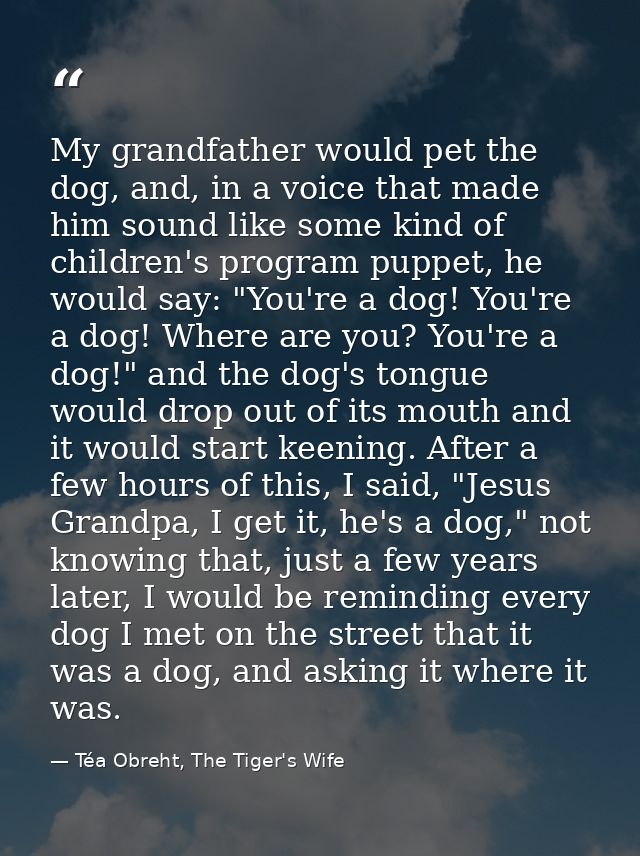 My grandfather would pet the dog, and, in a voice that made him sound like some kind of children's program puppet, he wo — Téa Obreht, The Tiger's Wife