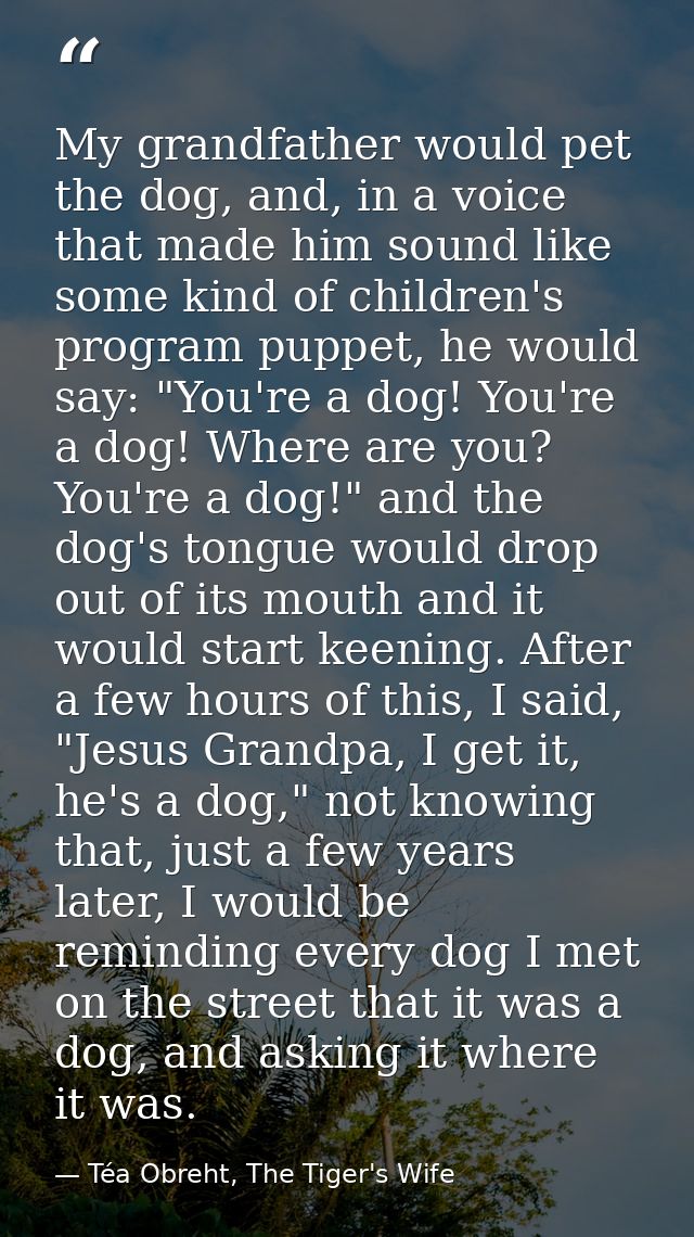 My grandfather would pet the dog, and, in a voice that made him sound like some kind of children's program puppet, he wo — Téa Obreht, The Tiger's Wife