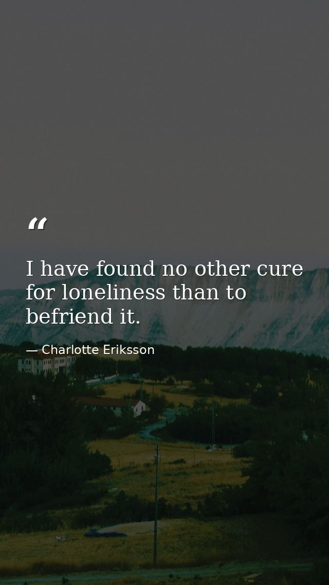 I have found no other cure for loneliness than to befriend it. — Charlotte Eriksson