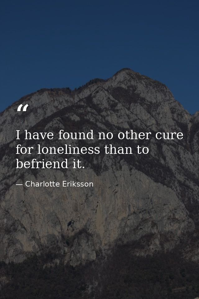 I have found no other cure for loneliness than to befriend it. — Charlotte Eriksson