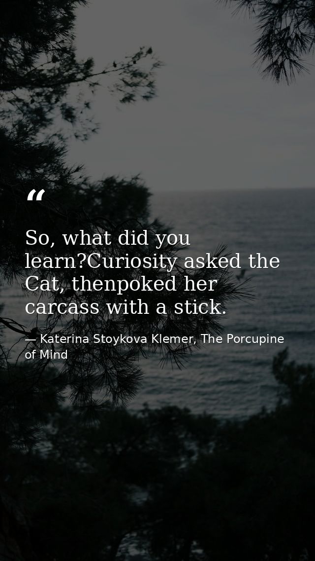 So, what did you learn?Curiosity asked the Cat, thenpoked her carcass with a stick. — Katerina Stoykova Klemer, The Porcupine of Mind