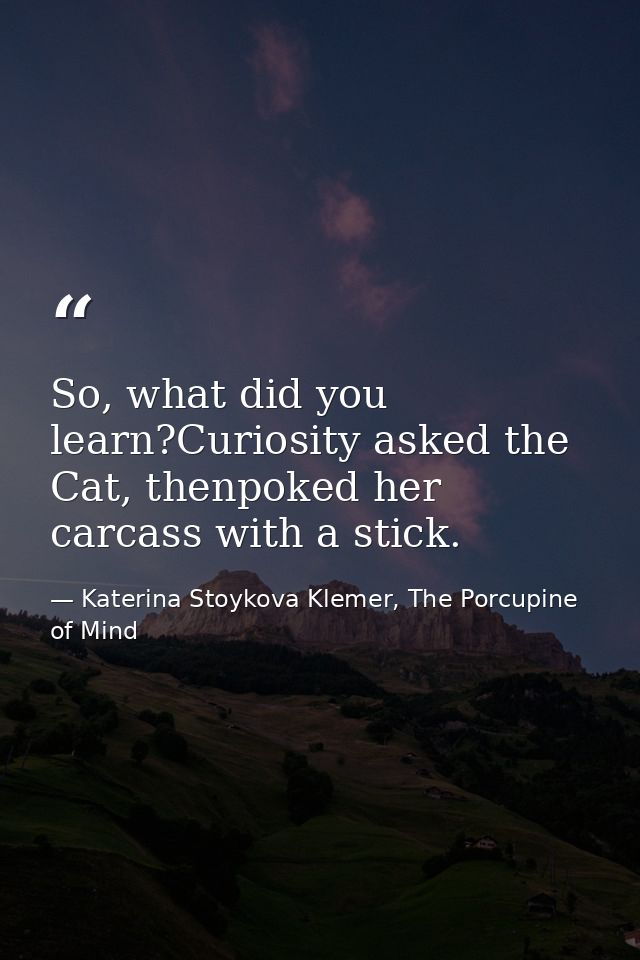 So, what did you learn?Curiosity asked the Cat, thenpoked her carcass with a stick. — Katerina Stoykova Klemer, The Porcupine of Mind