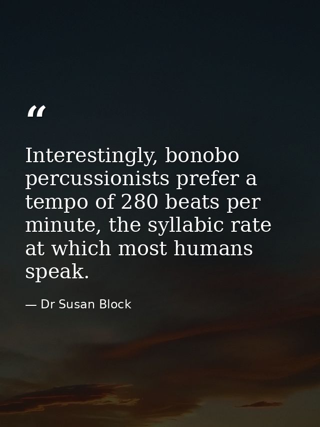 Interestingly, bonobo percussionists prefer a tempo of 280 beats per minute, the syllabic rate at which most humans spea — Dr Susan Block