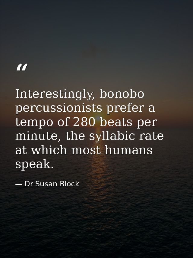 Interestingly, bonobo percussionists prefer a tempo of 280 beats per minute, the syllabic rate at which most humans spea — Dr Susan Block