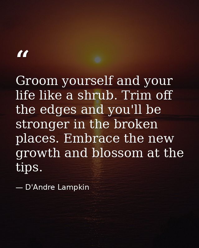 Groom yourself and your life like a shrub. Trim off the edges and you'll be stronger in the broken places. Embrace the n — D'Andre Lampkin
