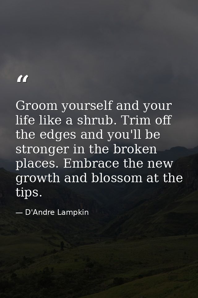 Groom yourself and your life like a shrub. Trim off the edges and you'll be stronger in the broken places. Embrace the n — D'Andre Lampkin