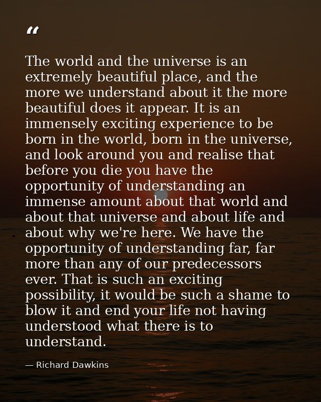 The world and the universe is an extremely beautiful place, and the more we understand about it the more beautiful does  — Richard Dawkins