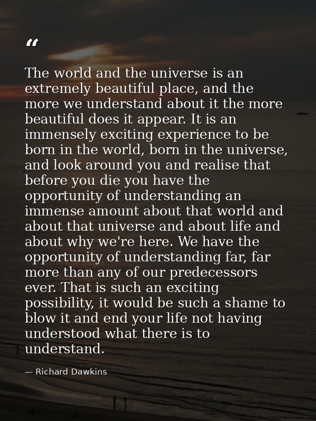 The world and the universe is an extremely beautiful place, and the more we understand about it the more beautiful does  — Richard Dawkins