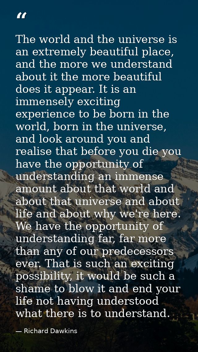 The world and the universe is an extremely beautiful place, and the more we understand about it the more beautiful does  — Richard Dawkins