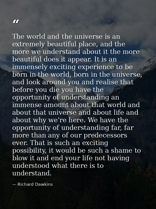 The world and the universe is an extremely beautiful place, and the more we understand about it the more beautiful does  — Richard Dawkins