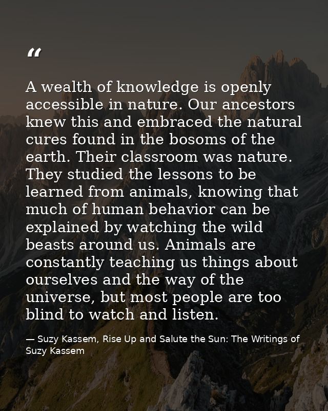 A wealth of knowledge is openly accessible in nature. Our ancestors knew this and embraced the natural cures found in th — Suzy Kassem, Rise Up and Salute the Sun: The Writings of Suzy Kassem