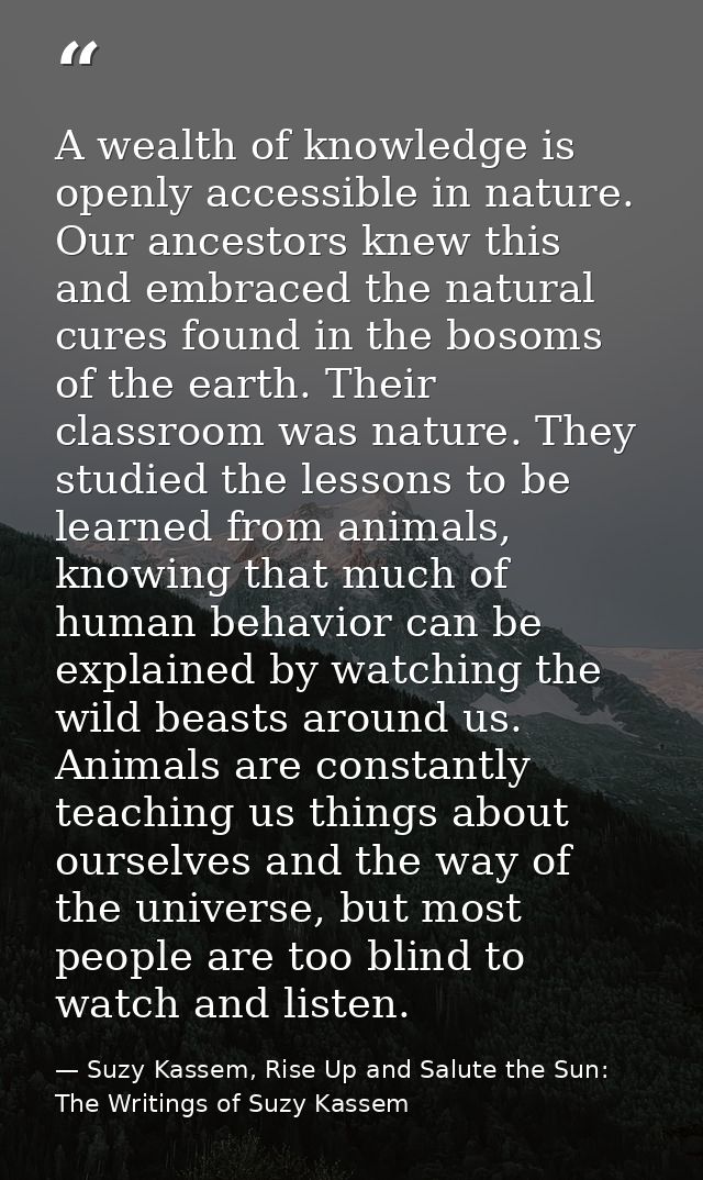 A wealth of knowledge is openly accessible in nature. Our ancestors knew this and embraced the natural cures found in th — Suzy Kassem, Rise Up and Salute the Sun: The Writings of Suzy Kassem