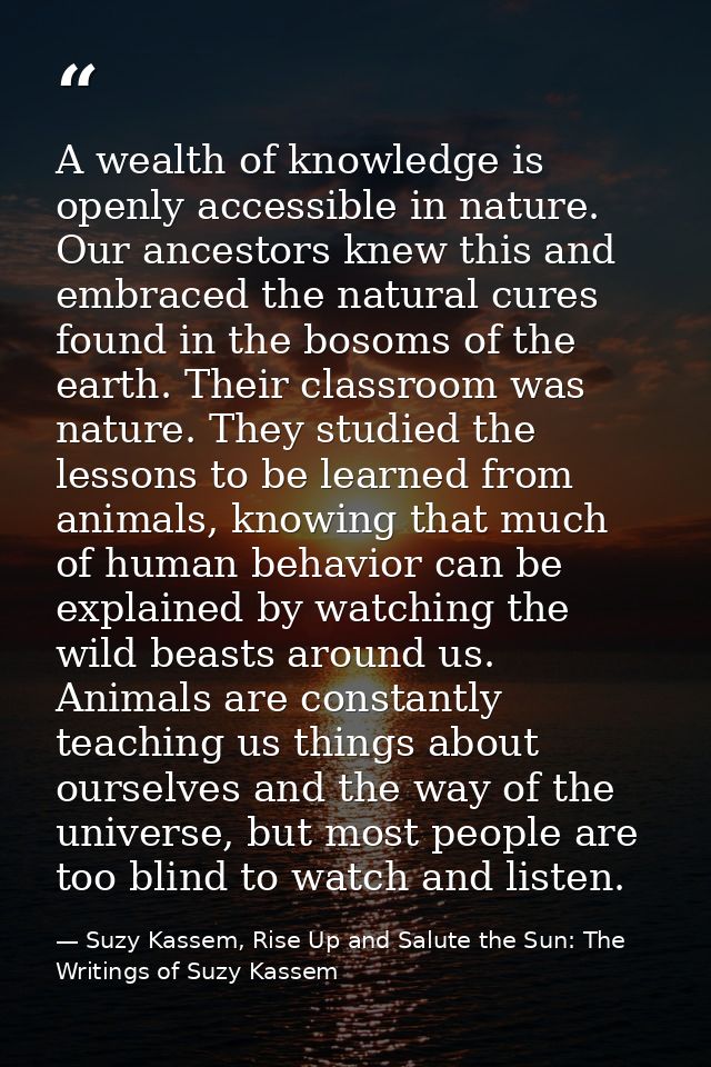 A wealth of knowledge is openly accessible in nature. Our ancestors knew this and embraced the natural cures found in th — Suzy Kassem, Rise Up and Salute the Sun: The Writings of Suzy Kassem