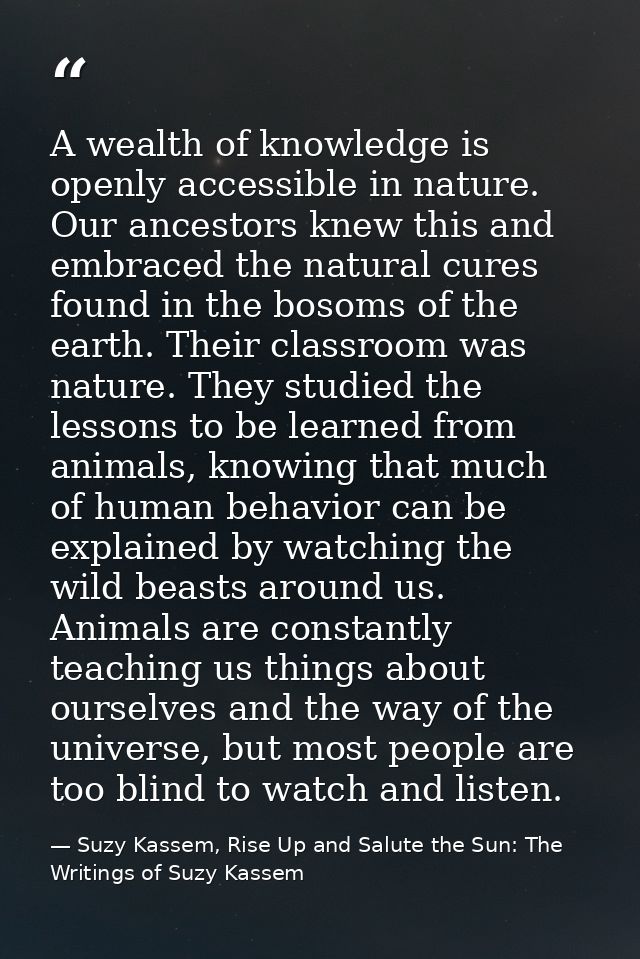 A wealth of knowledge is openly accessible in nature. Our ancestors knew this and embraced the natural cures found in th — Suzy Kassem, Rise Up and Salute the Sun: The Writings of Suzy Kassem