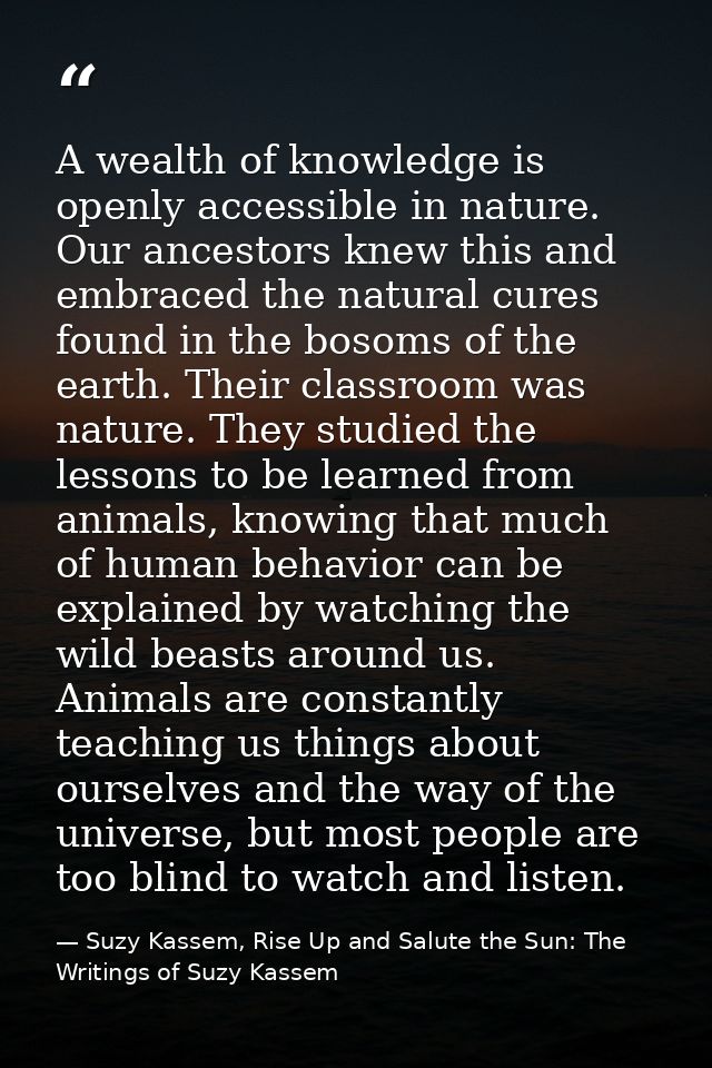 A wealth of knowledge is openly accessible in nature. Our ancestors knew this and embraced the natural cures found in th — Suzy Kassem, Rise Up and Salute the Sun: The Writings of Suzy Kassem