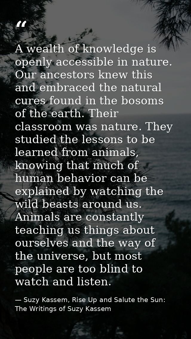 A wealth of knowledge is openly accessible in nature. Our ancestors knew this and embraced the natural cures found in th — Suzy Kassem, Rise Up and Salute the Sun: The Writings of Suzy Kassem