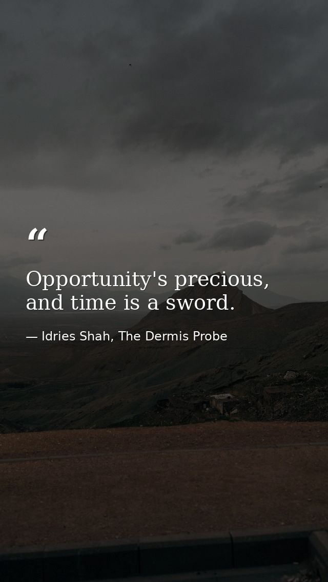 Opportunity's precious, and time is a sword. — Idries Shah, The Dermis Probe